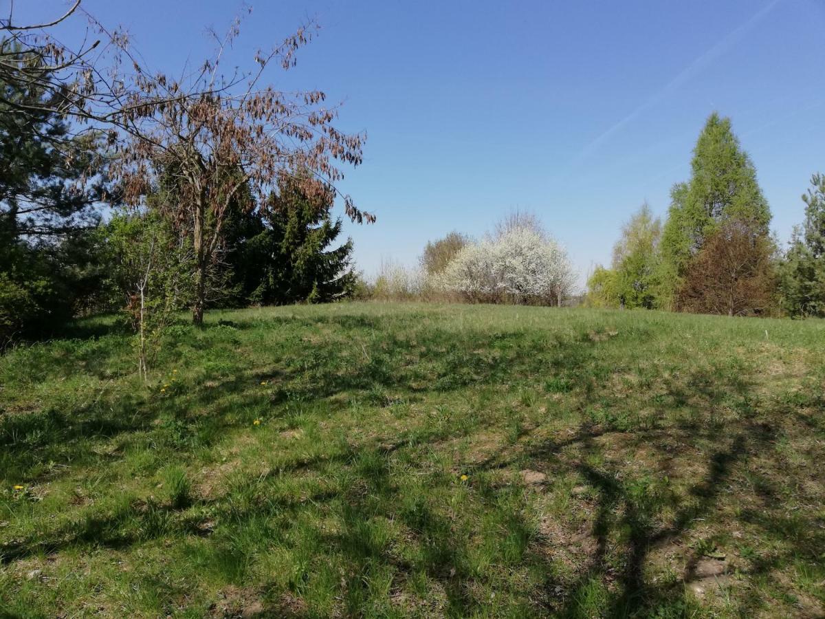 Wakacje Nad Jeziorem W Chlopowie Chlopowo  Kültér fotó